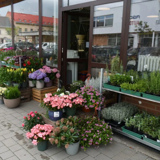 ruce floristky při vázání pugétu žlutých tulipánů